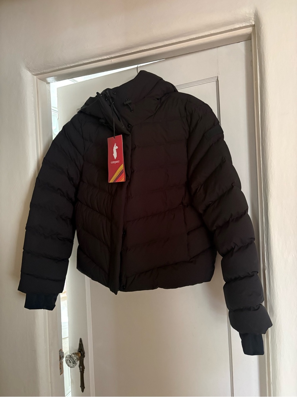 Cotopaxi Alivio Black Hooded Cropped Puffer Jacket L
